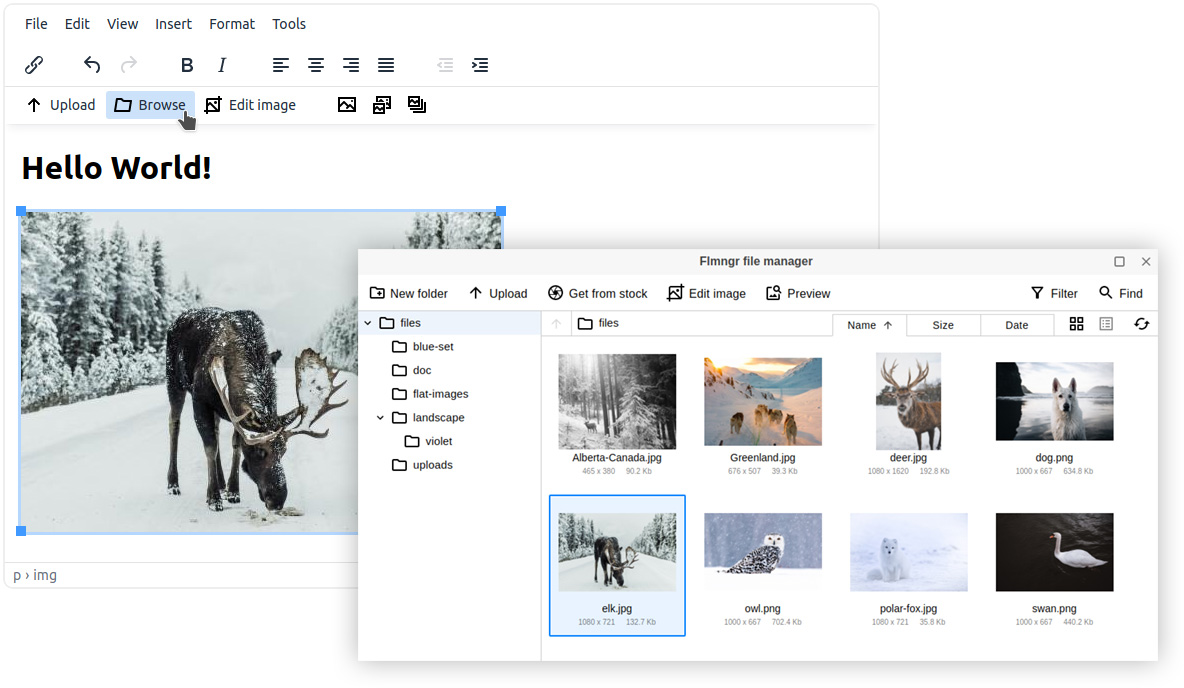 Flmngr file manager in TinyMCE