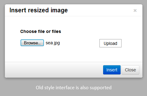 Image Resized Upload browse files screenshot